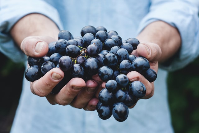 Five Health Advantages of Anthocyanins
